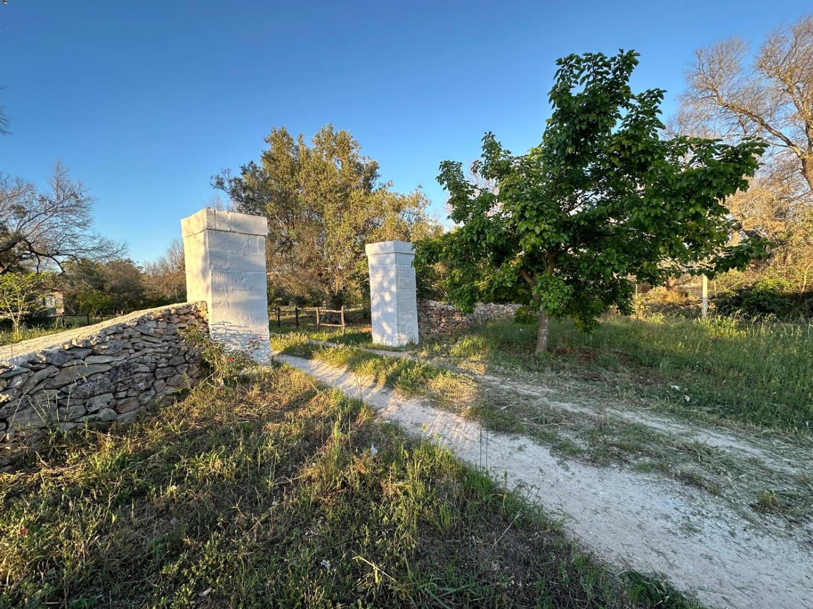 La Petraia Villa Magliano Екстериор снимка