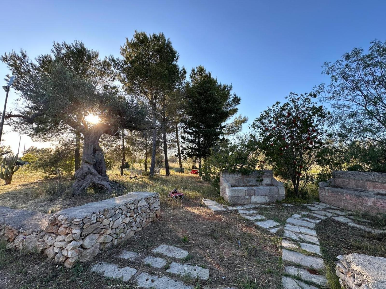 La Petraia Villa Magliano Екстериор снимка