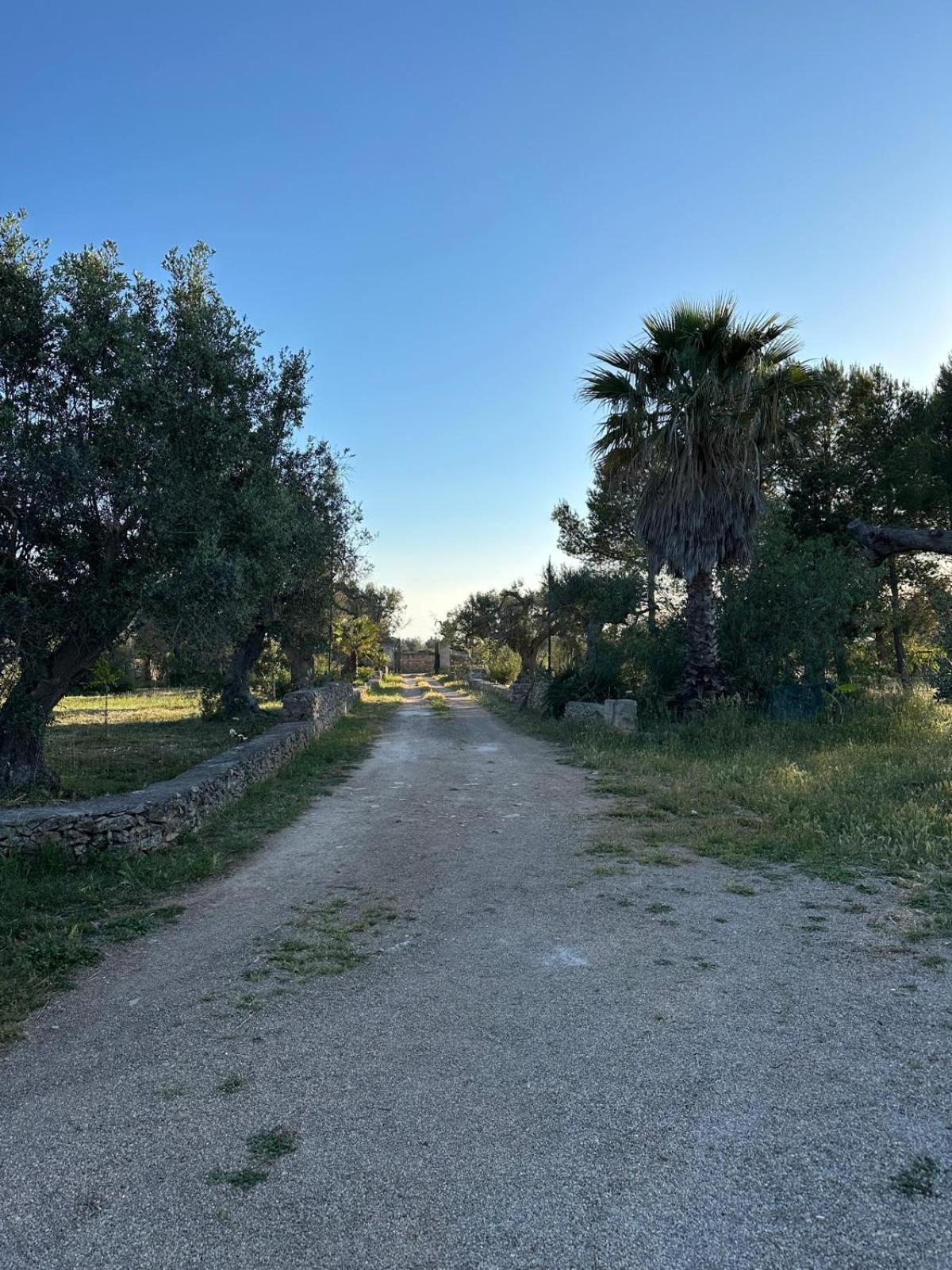 La Petraia Villa Magliano Екстериор снимка